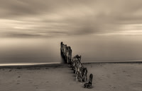 Echos of the Tide