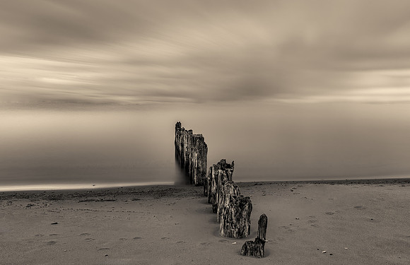 Echos of the Tide