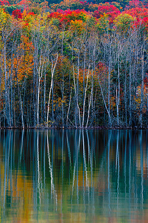 Thumb Lake Tranquility